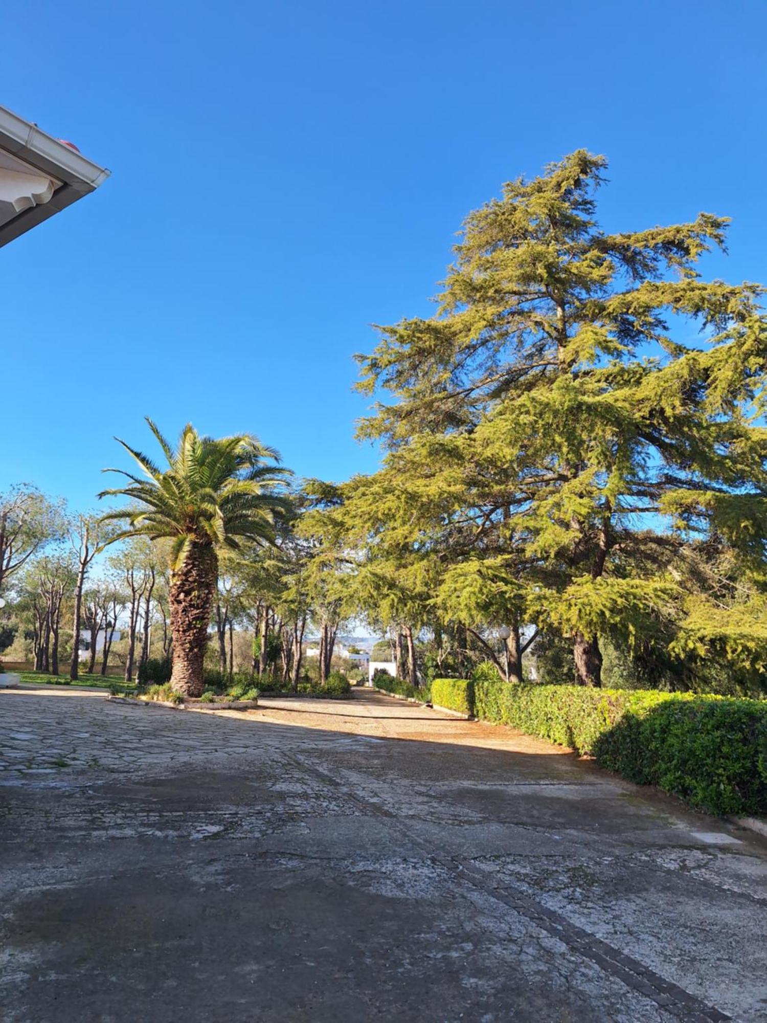 Holiday Home Trullo Antico Остуни Экстерьер фото